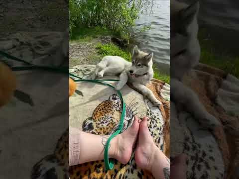 Comment Your Favourite Clip ๐