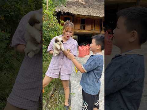 Gấu ăn chân gà không?