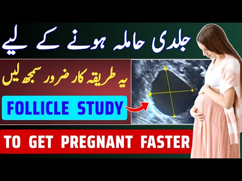 Follicle Study To Get Pregnant Faster | How To Get Pregnant Fast After Periods With Follicle Study