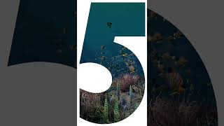 Join us today as we celebrate the day #BeyondBlueTurnsFive! 🎂🥳 #shorts