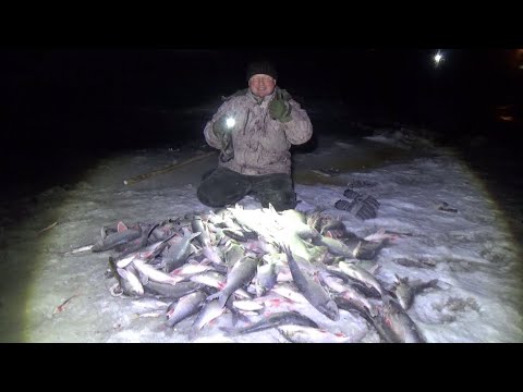 Гонял ее дубиной по всей речке. Рыбалка на паук подъёмник.