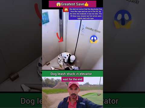 Dog leash stuck in elevator Amazing videos | O my god | #shorts #shortvideo #shortsfeed #respect