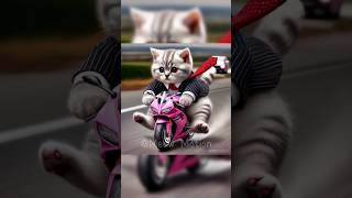 The cat is running late #cat #cute #kitten #funny #catlover #kitty