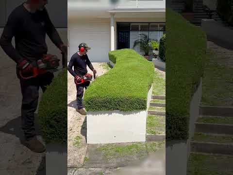 Восстановление старинного особняка🏡🤩🧐