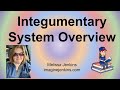 Integumentary System and Aging Effects
