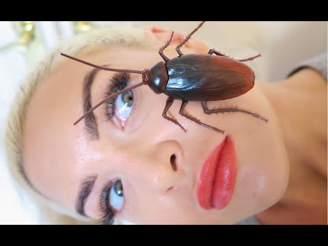Roach On My Face!!