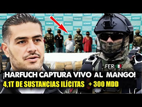 Harfuch y SEDENA capturan vivo a El Mango, incautan 300M y 4 1 toneladas de metanfetamina