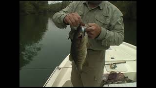 Small River Fishing on Tennessee River - BENNY HULL'S SOUTHERN SPORTSMAN SHOW