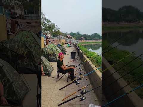 ตัวบักใหญ่เลยมันหลุด #viral #เปิดค่าการมองเห็น #บ่าวอีสาน #ตกปลา #fypシ