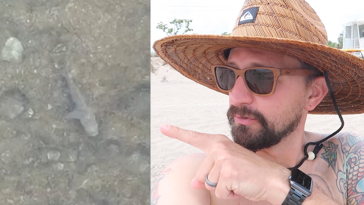 Searching For Sharks & Snorkeling At Bathtub Reef Beach Florida! Real Florida Adventures! The Tim Tracker