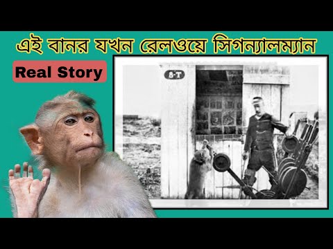 বানর যিনি 'অফিসিয়াল' রেলওয়ে সিগন্যালম্যান হিসাবে কাজ করেছিলেন।