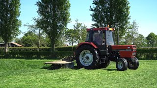 Gras maaien met een Case International 845XL en PZ cyclomaaier (2025)