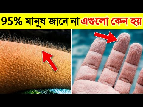 মানুষের শরীর সম্পর্কে এই তথ্যগুলো আপনার ঘুম উড়িয়ে দেবে | Amazing Facts About the Human Body
