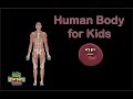 Exploring Human Body Systems for Kids