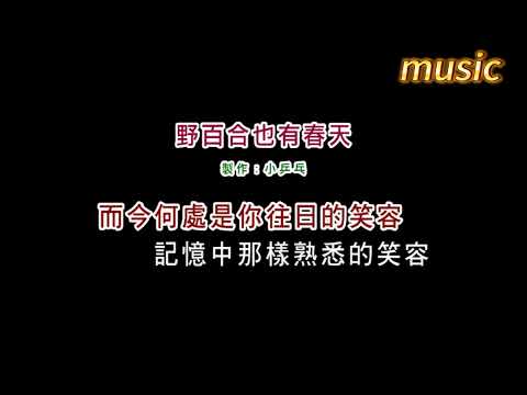 潘越雲-野百合也有春天KTV 伴奏 no vocal 無人聲 music 純音樂 karaoke 卡拉OK 伴唱潘越雲-野百合也有春天