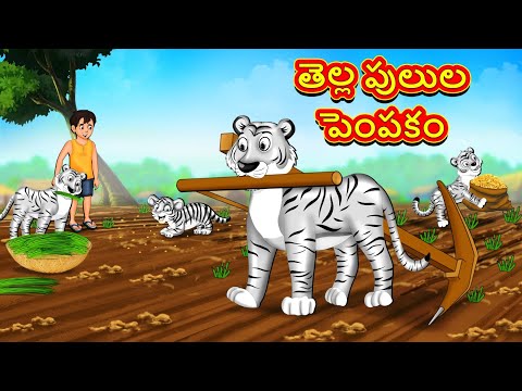 తెల్ల పులుల పెంపకం | Telugu Stories | Telugu Kathalu | Telugu Moral Stories | Fairy Tales