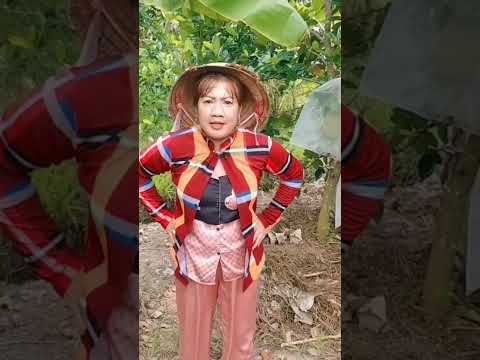 Cái Kết Coi Xong Là Phải Cười Té Ghế🤣 |funny Videos #031 |Thuận Ra Đô #shorts