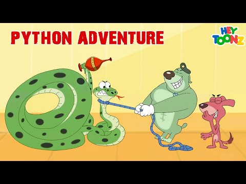 Ta Ta Ta Taaam - Kül Yutmaz ve Don'un Python Maceraları|Çocuklar İçin Türk Çizgi Filmleri | HeyToonz