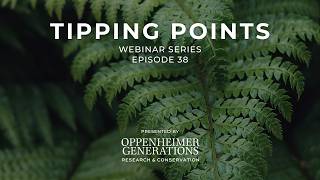 Tipping Points 38 - From Discovery to Impact