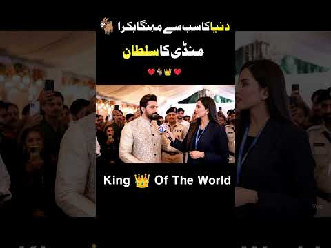 Dunia Ka Sab Say Bara Bakra #bakramandi #qurbani2025 #viralvideo #eiduladha #foryou #cow #eid #6