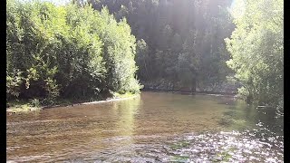 видео