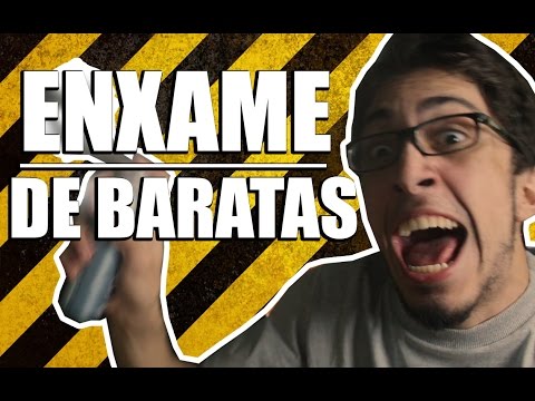 UM ENXAME DE BARATAS