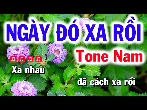 Karaoke Ngày Đó Xa Rồi – Tone Nam Nhạc Sống Tú Anh