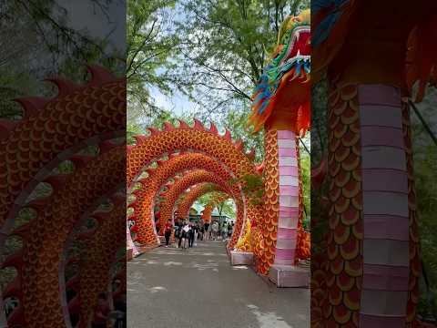 St Louis#Zoo#Dragon#Decoration#video#shorts#beautiful 