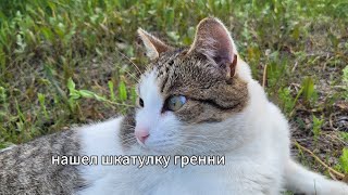 Странная шкатулка гренни. Что произошло?