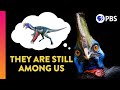 Exploring the Truth Behind Dinosaur Extinction