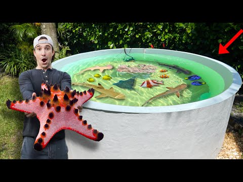 Adding STARFISH To My Backyard Saltwater Pond!