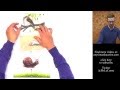 Food Chain Classification and Roles