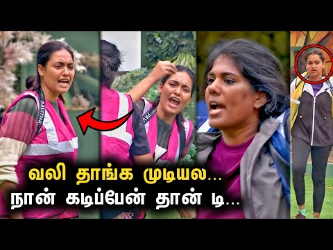 Jack அசிங்கமா பேசதா அவ்ளோதான் மரியாதை 🤬❌ நீ கடிப்பியா டி Pavithra😱 | Bigg Boss 8 Tamil Today Episode