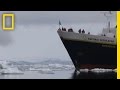 Orca Hunting Behavior and Techniques