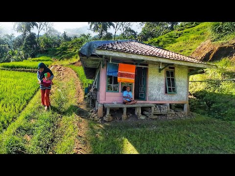 CANTIK ALAMI.. SEJUK, BERSIH SUNGGUH INDAH! KAMPUNG PALING DICARI ORANG, SUASANA PEDESAAN JAWA BARAT