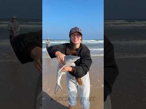 Amazing Animals transformation!