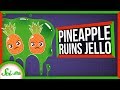 Understanding Gelatin and Proteolytic Enzymes