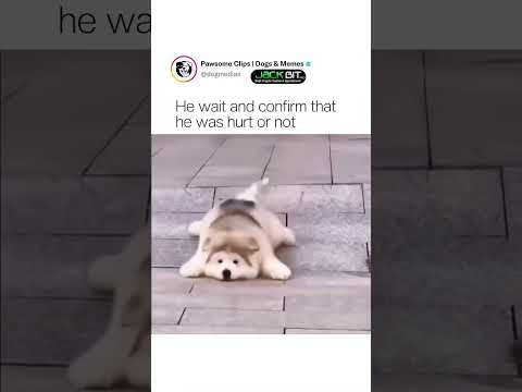 Aww