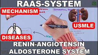 RAAS Mechanism | Renin-Angiotensin-Aldosterone Pathway