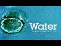 Water Management and Infrastructure Challenges