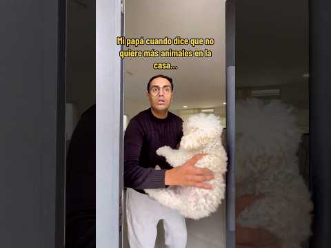 Mi papá cuando dice que no quiere más animales en la casa…