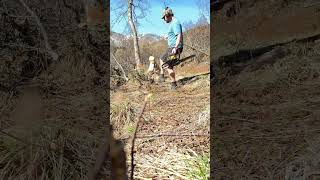Arctic Survival, Preparing Winter Firewood