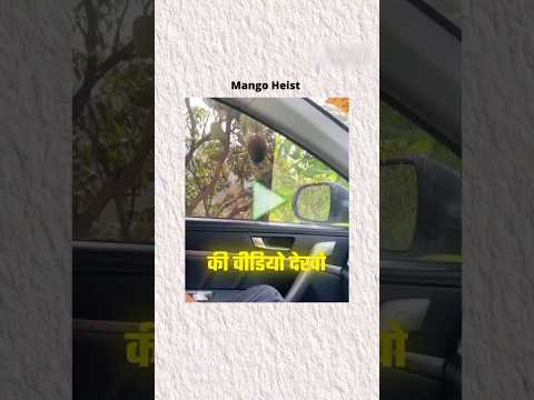 Mongo Heist🔥😂 | Instagram Funny Comments | Monu Yadav | #shorts
