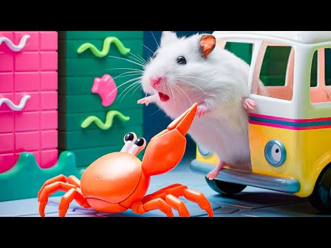 🐹 Hamster vs Pop It maze for pets 🐹 Escape in the Best Hamster Challenges #103