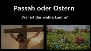Passah oder Ostern Wer ist das wahre Lamm