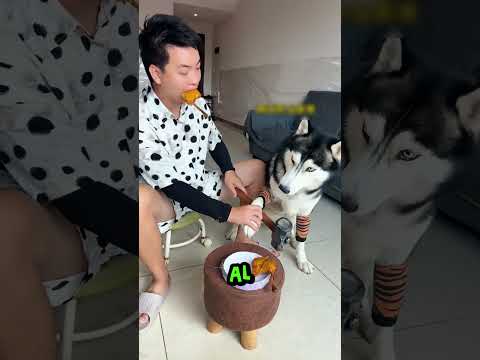 Köpek Delirdi 🤩💯