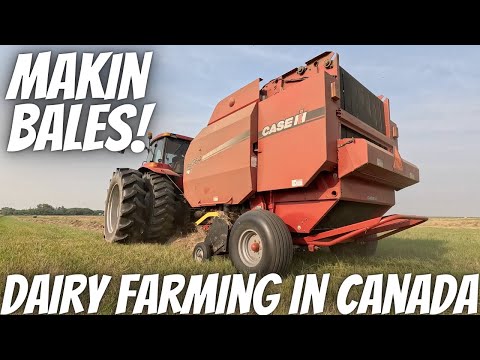 Baling The Last Field Of Hay!