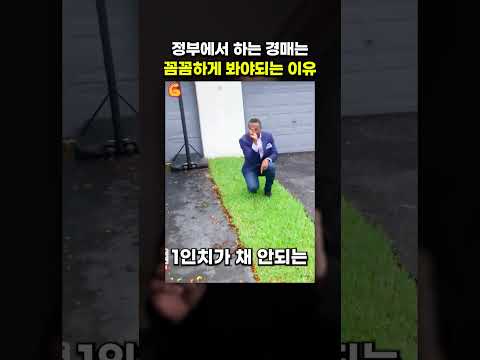정부에서하는 경매는 항상 조심해야 되는 이유😂