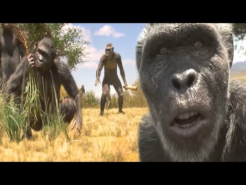 लाखों साल पहले इंसान जंगलों में कैसे रहते थे? | Evolution Never Stops in Hindi | Human Evolution