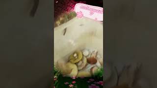 МЕМЫ СО ДНА ИНТЕРНЕТА №19 #film #memes #meme #film #serial #shortvideo